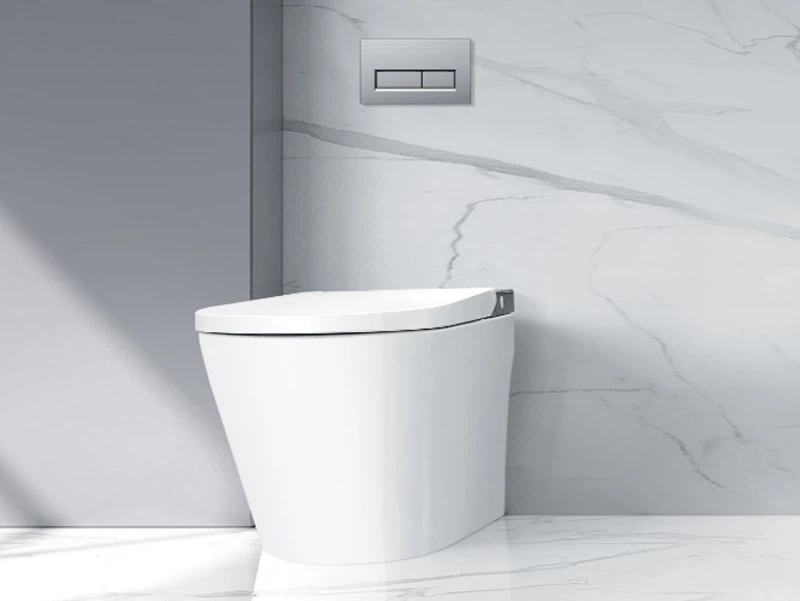 concealed cistern wall hung toilet concealed cistern wall hung toilet
