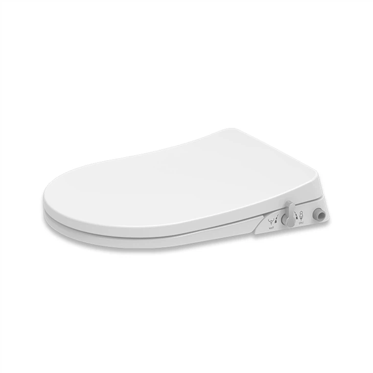 toilet-seat-with-a-bidet