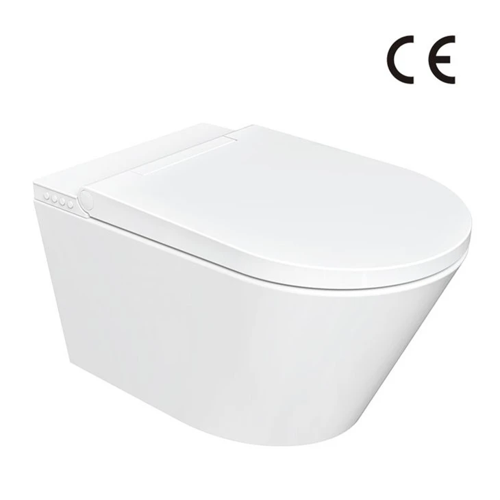 toilet with heated seat and bidet